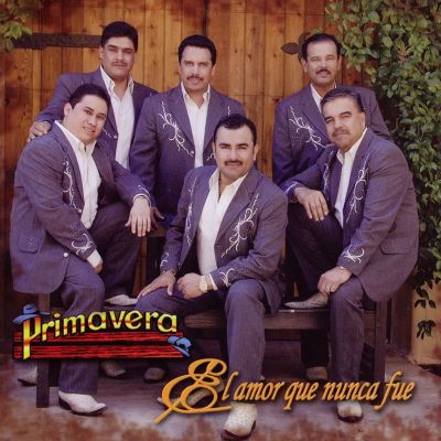 El Amor Que Nunca Fue