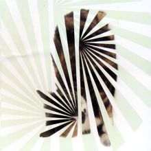 Poor Aim: Love Songs