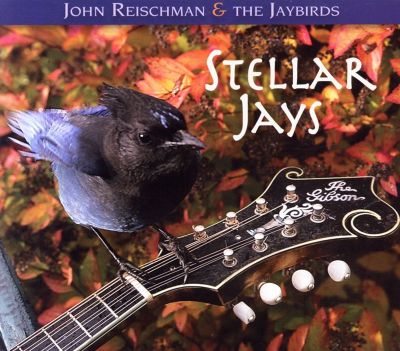 Stellar Jays