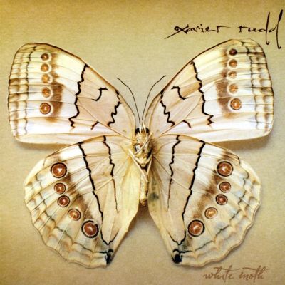White Moth