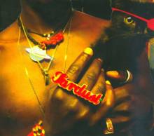 The Inevitable Rise and Liberation of Niggy Tardust