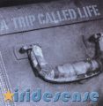 A Trip Called Life