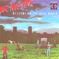 Mr. Mister: Welcome to the Re Tracks & Reviews | AllMusic