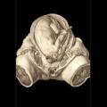 Orcustus
