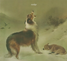 Alif Tree: French Cuisine Tracks & Reviews | AllMusic