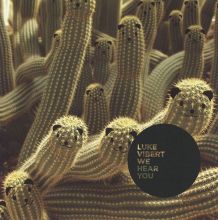その他 LUKE VIBERT - We Hear You We Hear You | Luke Vibert