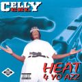 Heat 4 Yo Azz