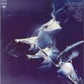 Weather Report: Weather Repor Tracks & Reviews | AllMusic