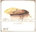 The Cicadas