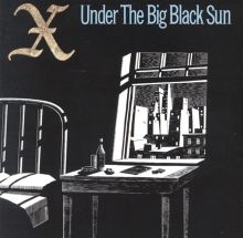 Under the Big Black Sun
