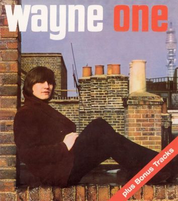 Wayne One