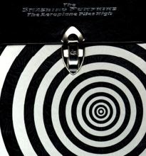 The Aeroplane Flies High