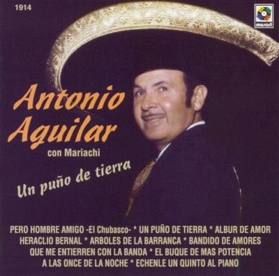 Puno de Tierra