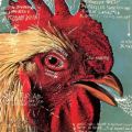 Pavement: Watery, Domestic Tracks & Reviews | AllMusic