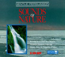 Sounds of Nature