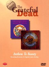 Anthem to Beauty [Video]