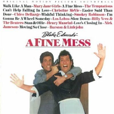 A Fine Mess