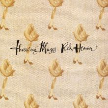 Throwing Muses Songs, Albums, Reviews, Bio & M | AllMusic