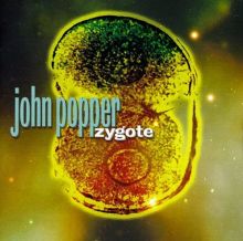 Zygote
