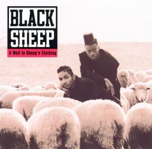 A Wolf in Sheep's Clothing