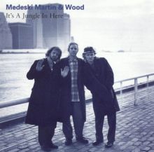 It's a Jungle in Here