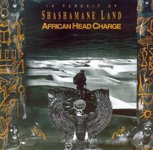In Pursuit of Shashamane Land