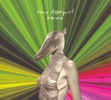 Shintaro Sakamoto: Like a Fable Tracks & Reviews | AllMusic