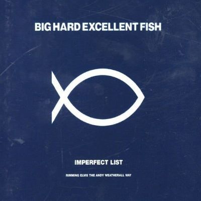 The Imperfect List