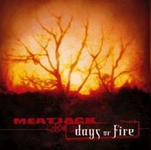 Days of Fire