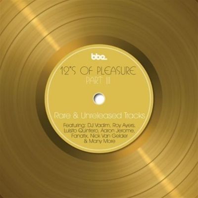 12 Inches of Pleasure III