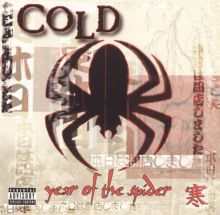 Year of the Spider