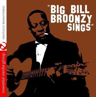 Big Bill Broonzy Sings