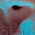 Meddle
