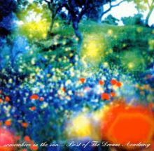 Somewhere in the Sun... Best of the Dream Academy