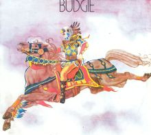 Budgie