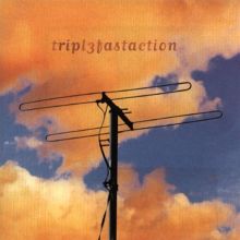 Frank Black: The Cult of Ray Tracks & Reviews | AllMusic