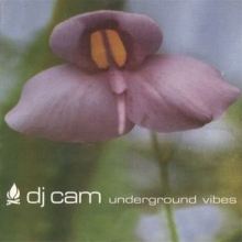 DJ Cam — Biography, Discography, Albums & Expert Reviews | AllMusic