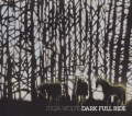 Julia Wolfe: Dark Full Ride