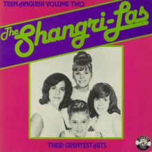 Teen Anguish, Vol. 2