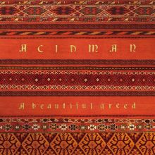 Gastr del Sol: Camoufleur Tracks & Reviews | AllMusic