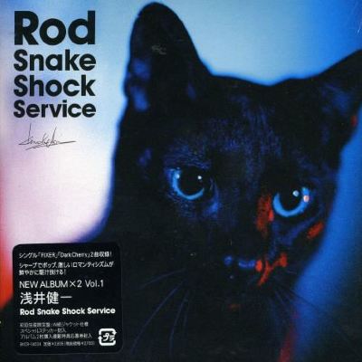 Rod Snake Shock Service