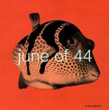 Gastr del Sol: Camoufleur Tracks & Reviews | AllMusic