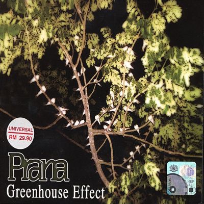 Greenhouse Effect