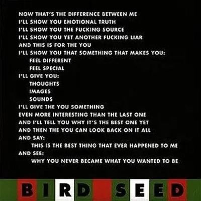 Bird Seed