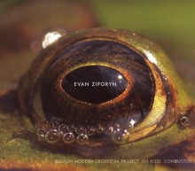 Evan Ziporyn: Frog's Eye