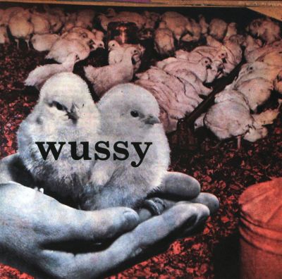 Wussy