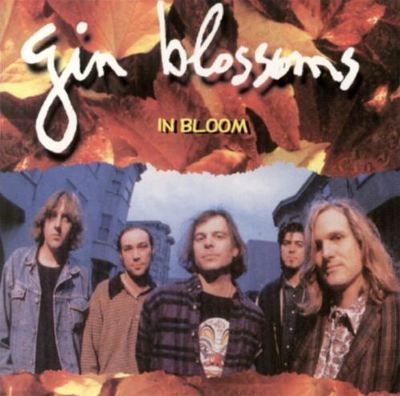 In Bloom