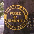 Singers And Songwriters: Pure & Simple