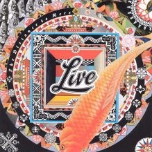 The Distance to Here