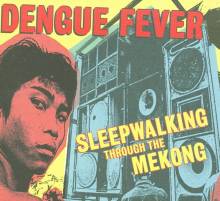 Sleepwalking Through the Mekong